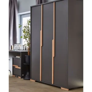 Pinio Armoire 3 Portes Gris Naturel 8