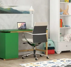 WNM Group Bureau Enfant En Pin Massif 120×60 Vert 14