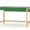 WNM Group Bureau Enfant En Pin Massif 120×60 Vert 22