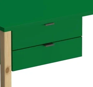 WNM Group Bureau Enfant En Pin Massif 120×60 Vert 12