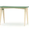 WNM Group Bureau Enfant En Pin Massif 120×60 Vert 20