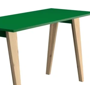 WNM Group Bureau Enfant En Pin Massif 120×60 Vert 12